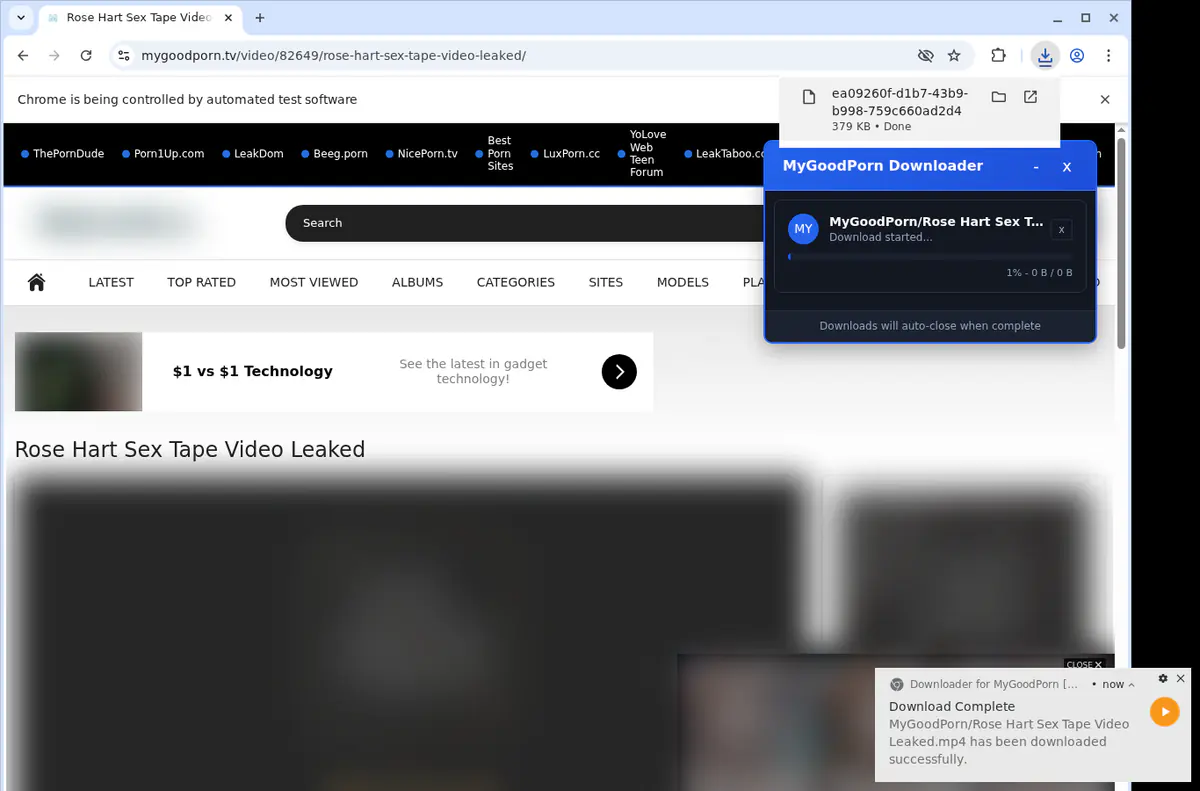 Mygoodporn Video Downloader screenshot 2