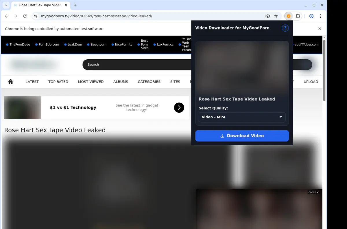 Mygoodporn Video Downloader screenshot 3